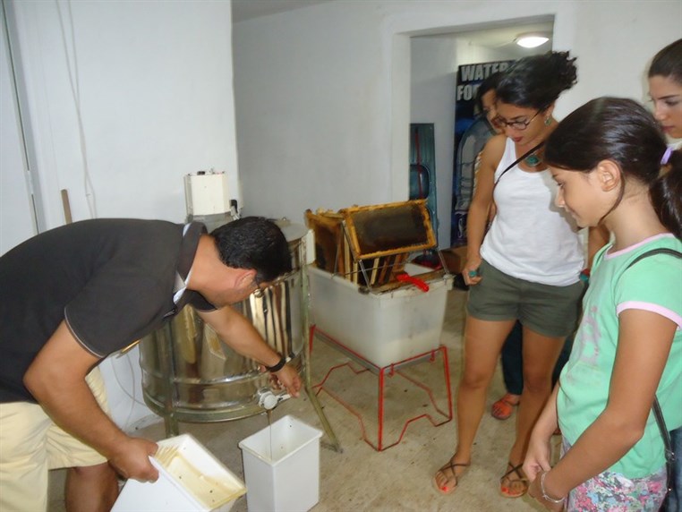 9th Annual Honey Harvest Event 